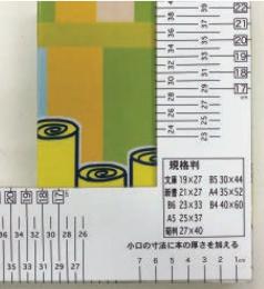 ブッカー計測定規